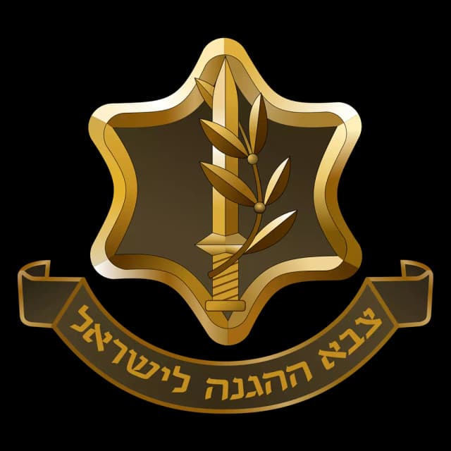 Israel Defense Forces